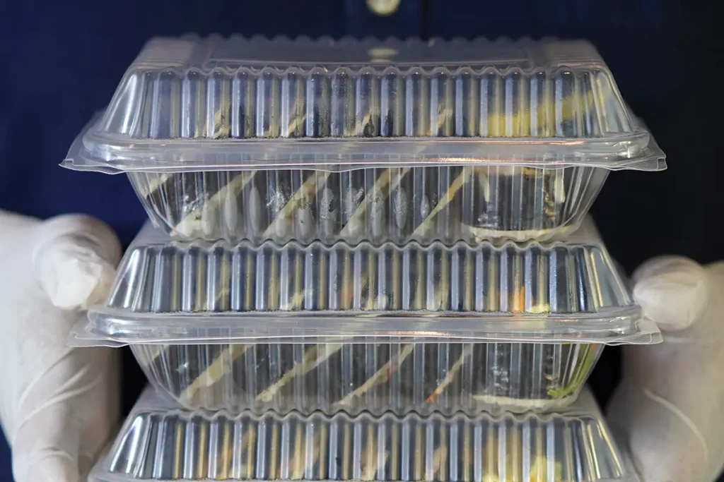 Aneka Menu Catering Nasi Kotak yang Menghadirkan Cerita Rasa dan Gaya Hidup ala Seoul